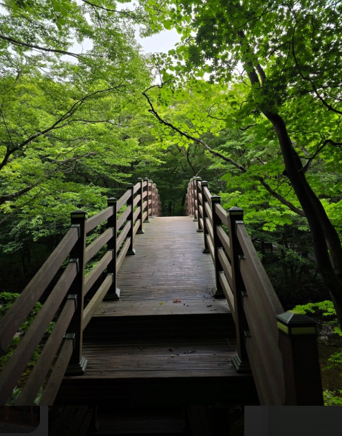 산림청, 추석 연휴에 가볼 만한 명품숲길 10선 기사 이미지