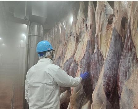 인천시, 설 명절 축산물 안정적 공급 위해 도축장 조기 개장 기사 이미지