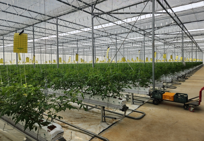 강화군, 올해 농업기술보급에 64억 투입… 첨단농업 전환 속도 기사 이미지