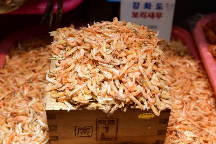 강화군, 수산물 건조기 지원 신규 추진… 연중 생산 체계 구축 ․ 유통 경쟁력 강화 기사 이미지