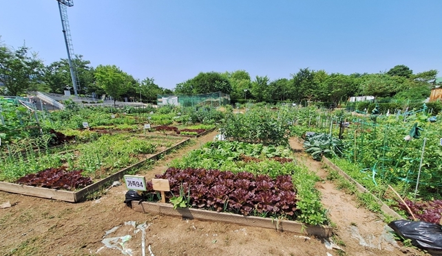 생활 속 친환경 도시농업! 인천 부평구, 공영텃밭 분양 개시 기사 이미지